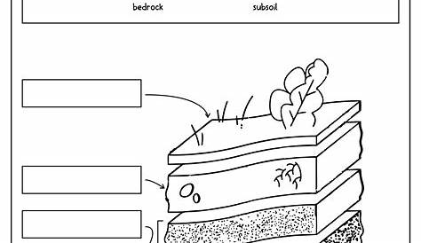 15 Best Images of Worksheets On Layers Of Soil - Soil Layers Worksheets