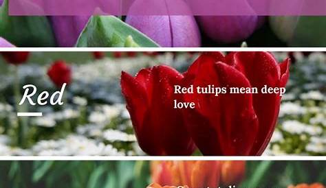 83 best Funeral Flower Arrangements images on Pinterest | Funeral