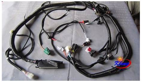 vw manx wiring harness