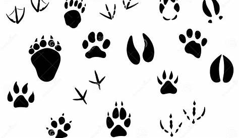 printable animal footprints