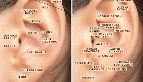 Are Those Trendy Ear Piercings Helping You On A Wellness Level? | Ear
