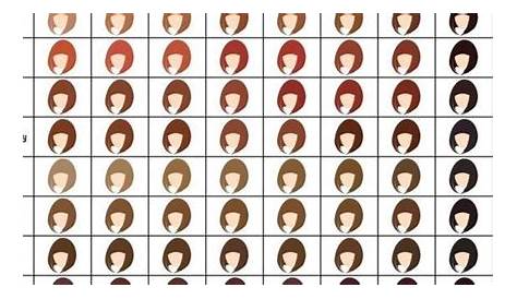 hair color predictor chart