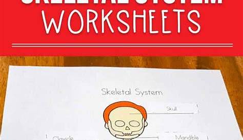 Skeletal System Worksheets for Kids