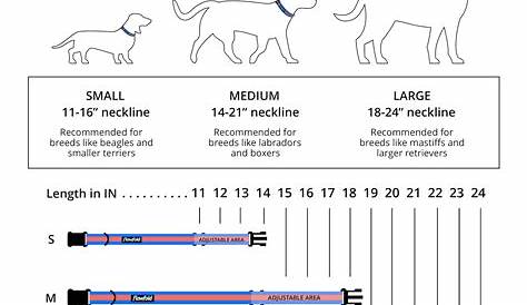 Puppy Collar Size Chart - The Best Dog Collar Sizes for Your Dog - If