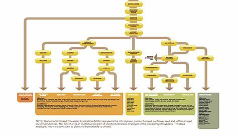 Soybean Processing Chart - NOPA