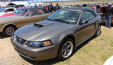 2001 Ford Mustang SVT Cobra - Coupe 4.6L V8 Manual