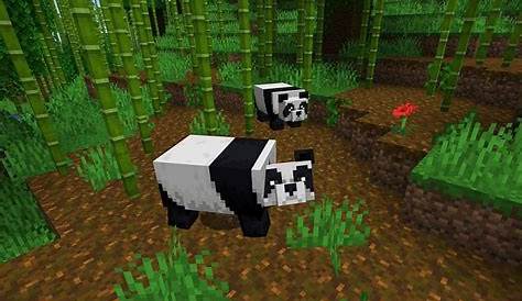 where do pandas spawn in minecraft