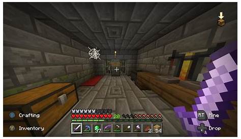 Anyone know what’s up with these secret igloo rooms? : Minecraft