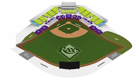 Tampa Bay Rays Seating Chart And Pricing | Cabinets Matttroy