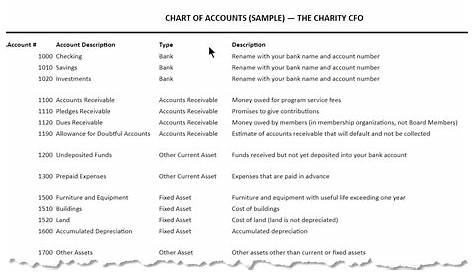 Set Up a Nonprofit Chart of Accounts (Free Template) | The Charity CFO