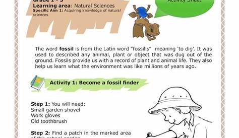 fossil dig worksheet