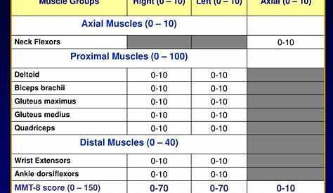 manual muscle testing scores
