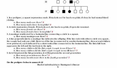 genetics worksheet answers key