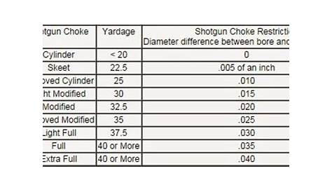 20 Gauge Shotgun Choke Chart