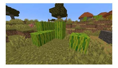 how to plant melon seeds in minecraft