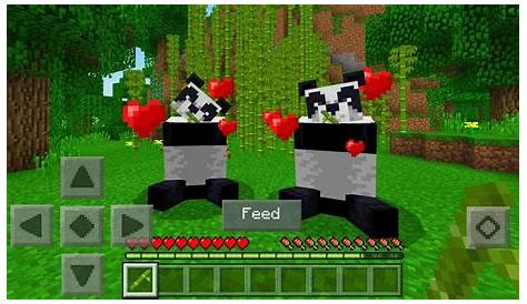 how do you breed pandas in minecraft