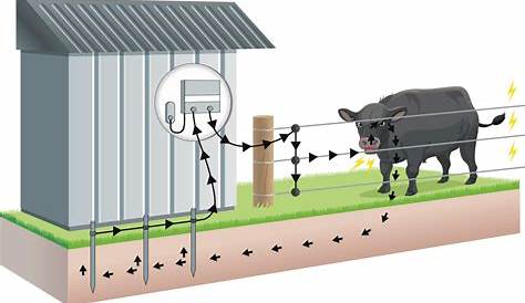 Electric Fence Wiring Diagram - Wiring Diagram