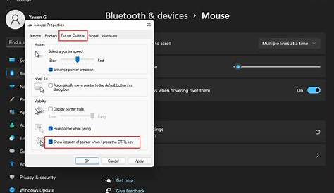 [Easy Fixes] Mouse Not Working in Windows 11/10 - MiniTool