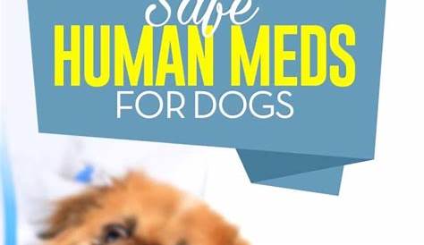 15 Safe Human Meds for Dogs