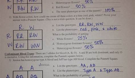 Blood Types Worksheets Answers