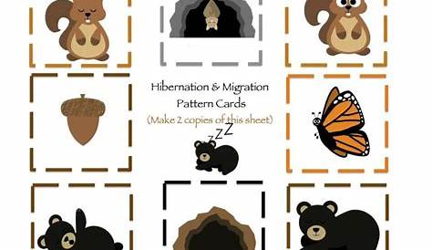 hibernation worksheets kindergarten