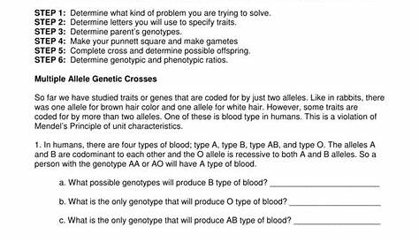 incomplete and codominant traits worksheets