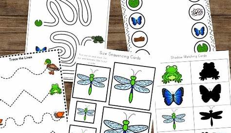 pond life worksheets preschool