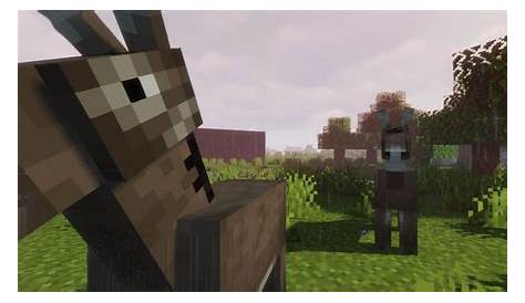 Donkeys in Minecraft: Everything players need to know