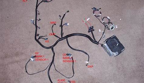 Ls1 Wiring Harness Diagram - Cadician's Blog