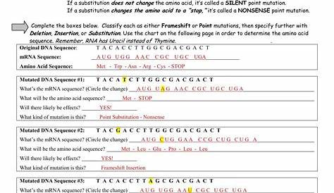 Protein Synthesis Practice Worksheet Say It with Dna Protein Synthesis