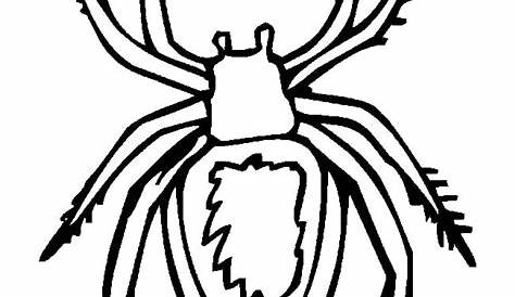 Spider Shape Template - 55+ Crafts & Colouring Pages | Free & Premium