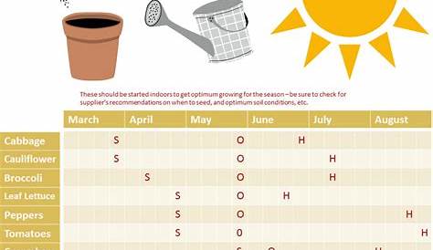 when to start seeds indoors chart