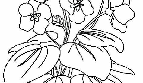 Purple Coloring Pages at GetColorings.com | Free printable colorings