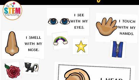 five senses chart for kids