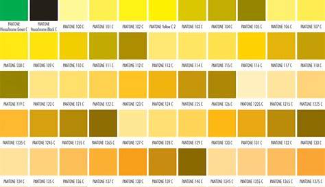 Pantone Color Chart - Effy Moom