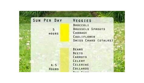 Sun Requirements For Vegetables - gardenpicdesign