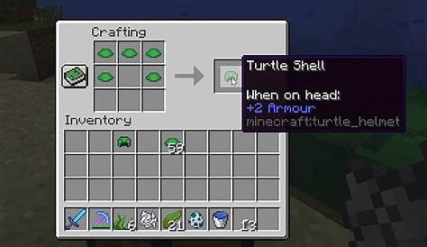 how to get turtle hat minecraft