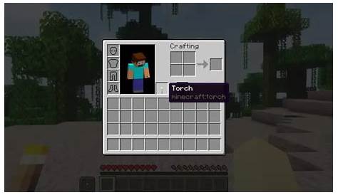 How to Put a Torch in Your Left Hand in Minecraft - Gamer Empire