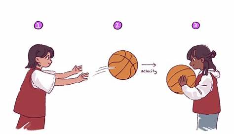 Newton’s 1st Law of Motion – Physics of Basketball – UW–Madison