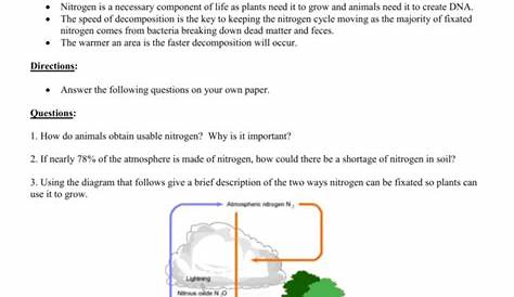 nitrogen cycle worksheet biology