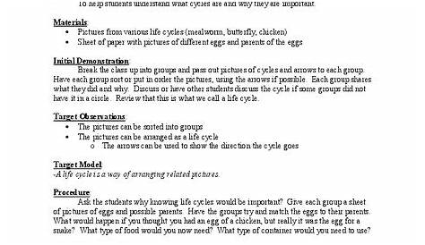 life cycle lesson plans for 4th grade