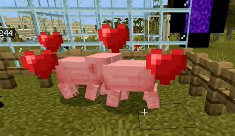 what to feed pigs minecraft
