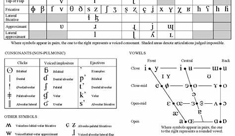 ipa english consonant chart