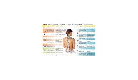 Effects Of Spinal Misalignments Wall Chart - Clinical Charts and Supplies