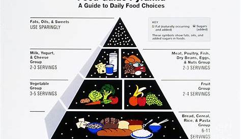 food pyramid printable worksheet