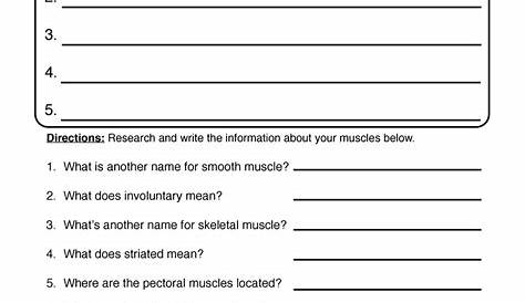 The Muscular System Worksheet - Worksheets For Kindergarten