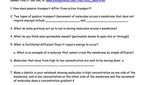 transport across the cell membrane worksheet