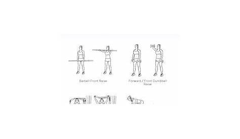 shoulder impingement rehab protocol pdf - Giantess Site Portrait Gallery