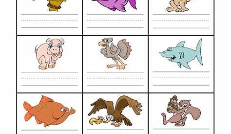 Mammal Fish Bird Worksheet by Teach Simple