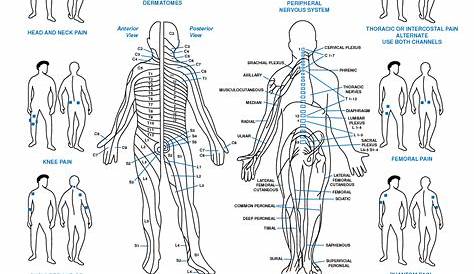 tens unit placement chart - Google Search | Tens electrode placement